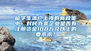 留学生落户上海的新政策中，对民办非企业是否有注册资金100万及以上的要求求？