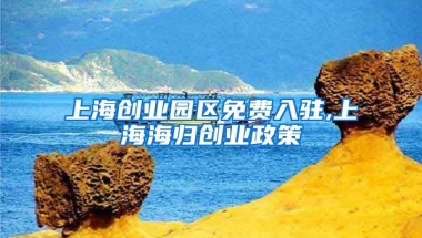 上海创业园区免费入驻,上海海归创业政策