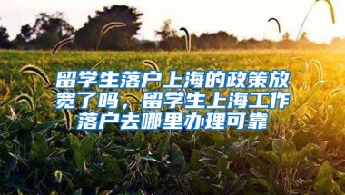 留学生落户上海的政策放宽了吗，留学生上海工作落户去哪里办理可靠