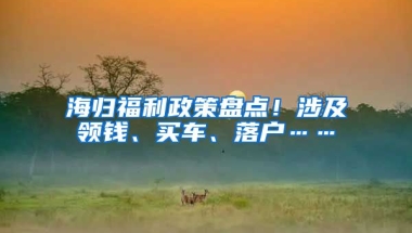 海归福利政策盘点！涉及领钱、买车、落户……
