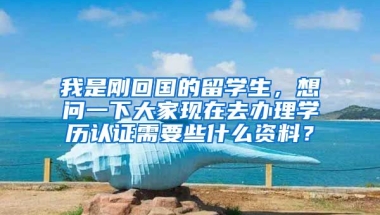 我是刚回国的留学生，想问一下大家现在去办理学历认证需要些什么资料？