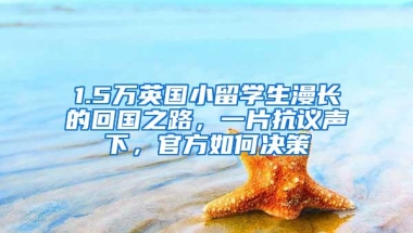 积分入户深圳学习工作情况 怎么填，这样写，肯定能入户！