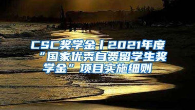 CSC奖学金丨2021年度“国家优秀自费留学生奖学金”项目实施细则