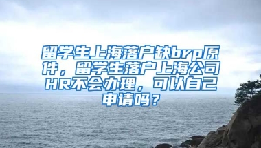 留学生上海落户缺brp原件，留学生落户上海公司HR不会办理，可以自己申请吗？