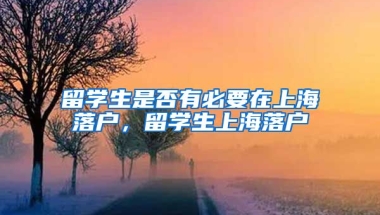 留学生是否有必要在上海落户，留学生上海落户