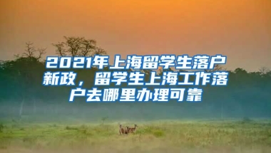 2021年上海留学生落户新政，留学生上海工作落户去哪里办理可靠