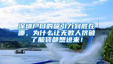 重要通知：11月深圳出台新规，办理深户不需要提供计生证明了