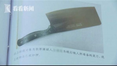 网上雇凶＂教训＂前男友 海归女硕士被判拘役