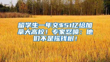 留学生一年交$51亿给加拿大高校！专家怒喷：他们不是摇钱树！