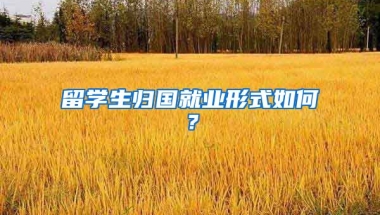 留学生归国就业形式如何？