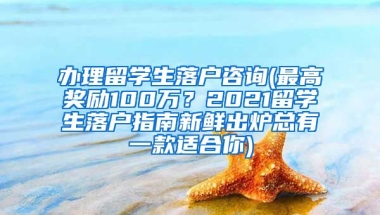 办理留学生落户咨询(最高奖励100万？2021留学生落户指南新鲜出炉总有一款适合你)