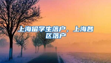 上海留学生落户，上海各区落户