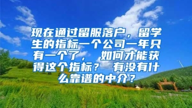 现在通过留服落户，留学生的指标一个公司一年只有一个了， 如何才能获得这个指标？ 有没有什么靠谱的中介？