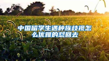 中国留学生遇种族歧视怎么优雅的怼回去