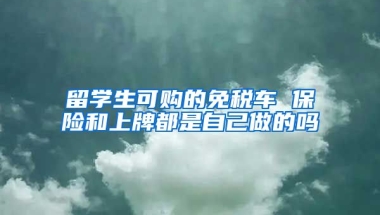 留学生可购的免税车 保险和上牌都是自己做的吗