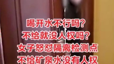 从豌豆公主病到许可馨，中国留学生里，为什么出现这么多白眼狼？