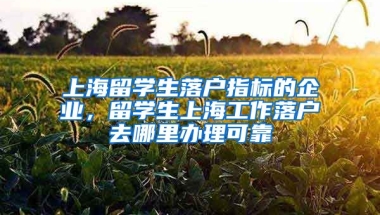 上海留学生落户指标的企业，留学生上海工作落户去哪里办理可靠