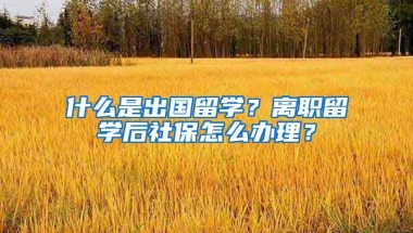 什么是出国留学？离职留学后社保怎么办理？