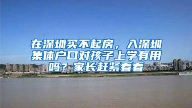 不再折腾！深圳公安率先实现全部户政业务“全城通”办理