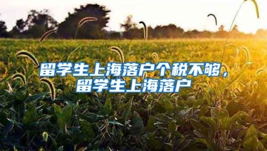 留学生上海落户个税不够，留学生上海落户