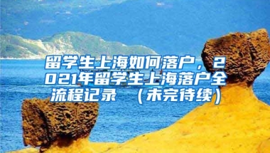 留学生上海如何落户，2021年留学生上海落户全流程记录 （未完待续）