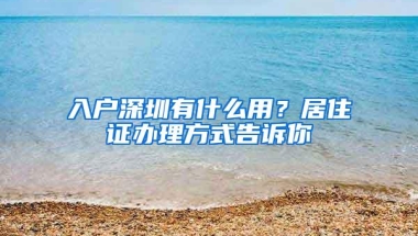 新片区国内人才引进直接落户，自主审批首批人才诞生