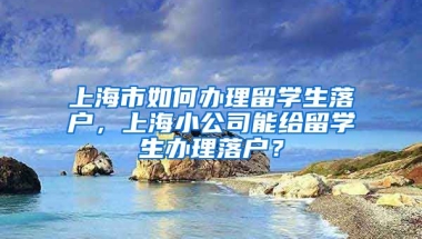 上海市如何办理留学生落户，上海小公司能给留学生办理落户？