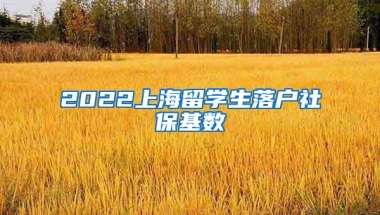 2022上海留学生落户社保基数