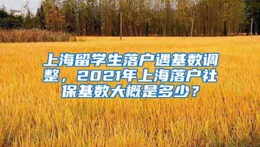 上海留学生落户遇基数调整，2021年上海落户社保基数大概是多少？