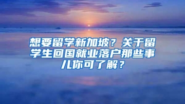 想要留学新加坡？关于留学生回国就业落户那些事儿你可了解？