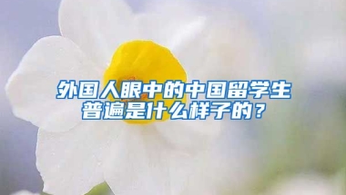 外国人眼中的中国留学生普遍是什么样子的？