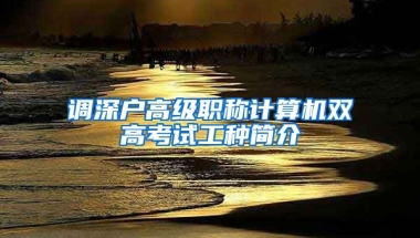 调深户高级职称计算机双高考试工种简介