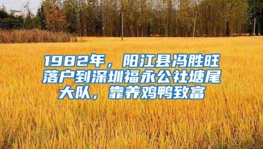 2023年深圳租房家庭抓紧登记！否则深户被统筹，非深户上不了公办