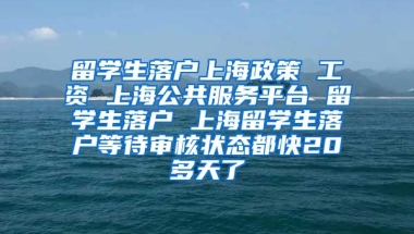 留学生落户上海政策 工资 上海公共服务平台 留学生落户 上海留学生落户等待审核状态都快20多天了