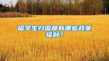 留学生归国都有哪些政策福利？