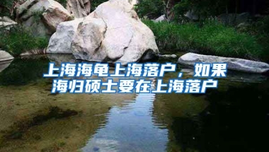 上海海龟上海落户，如果海归硕士要在上海落户