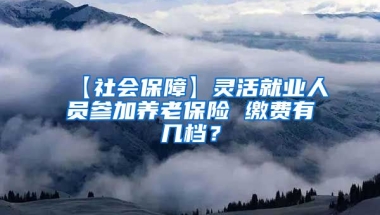 【社会保障】灵活就业人员参加养老保险 缴费有几档？