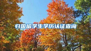 归国留学生学历认证查询