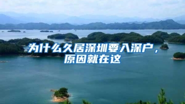 全国首个“数币+”公积金专窗落户深圳