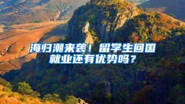 海归潮来袭！留学生回国就业还有优势吗？