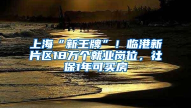 在深圳，社保断缴后果竟然那么严重？