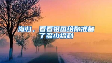 海归，看看祖国给你准备了多少福利