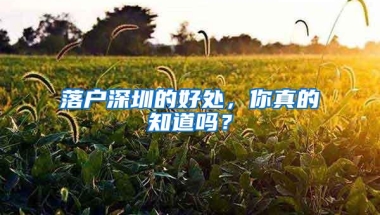 社保不重要？在深圳工作这种想法千万不要有，断缴后比想象中严重