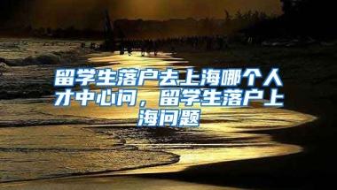 留学生落户去上海哪个人才中心问，留学生落户上海问题