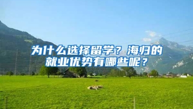 为什么选择留学？海归的就业优势有哪些呢？