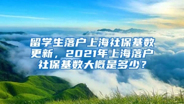 留学生落户上海社保基数更新，2021年上海落户社保基数大概是多少？