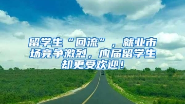 留学生“回流”，就业市场竞争激烈，应届留学生却更受欢迎！