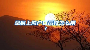 2022年深圳应届生落户流程和材料（深圳应届毕业生入户条件）