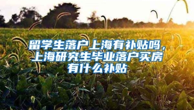 留学生落户上海有补贴吗，上海研究生毕业落户买房有什么补贴