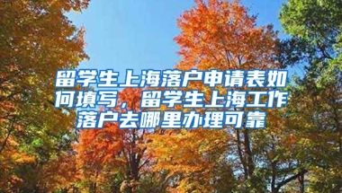 留学生上海落户申请表如何填写，留学生上海工作落户去哪里办理可靠